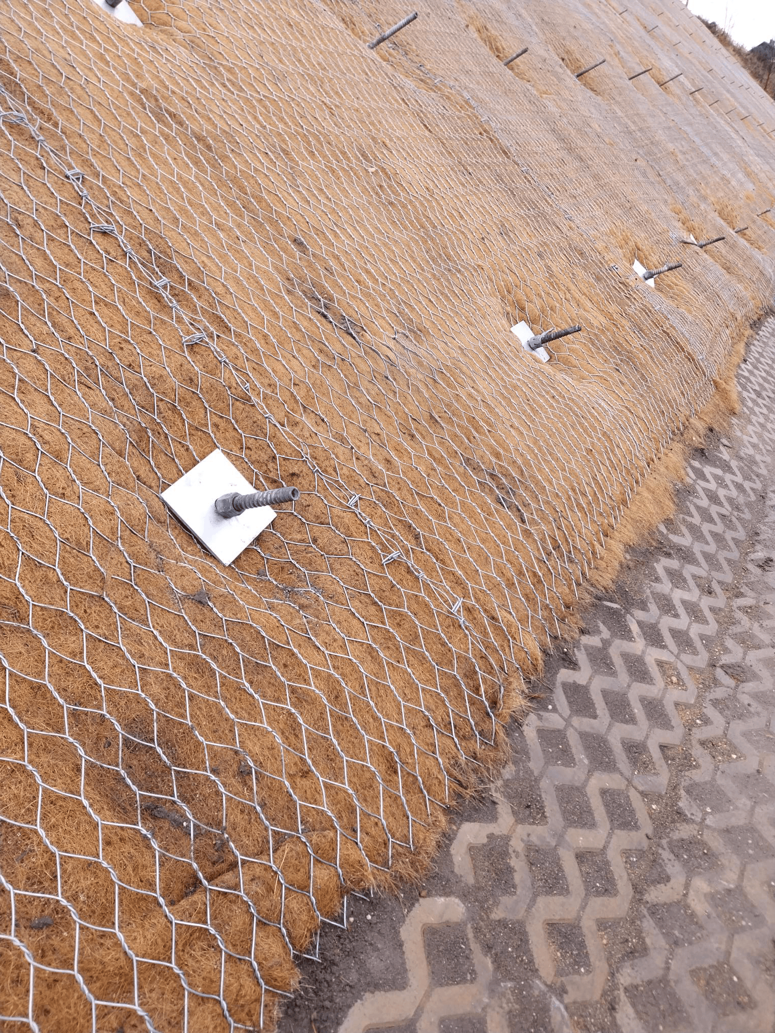 HTH Mesh Image
