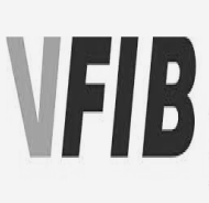 logo VFIB
