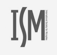 logo ISM