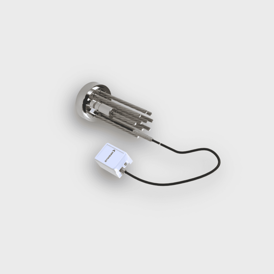 DYNA Cell Single Strand